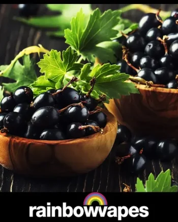 Blackcurrant Menthol E-Liquid By Rainbowvapes (80VG 20PG) (60ML)